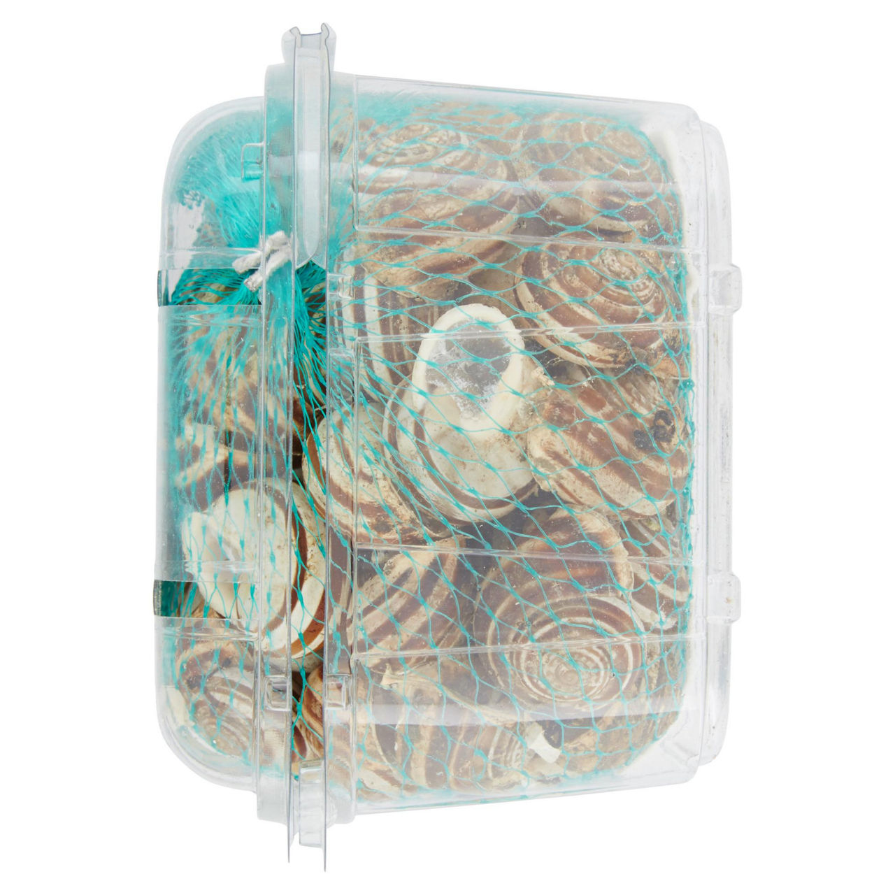 Lumache rigatelle 500 gr - Immagine 31
