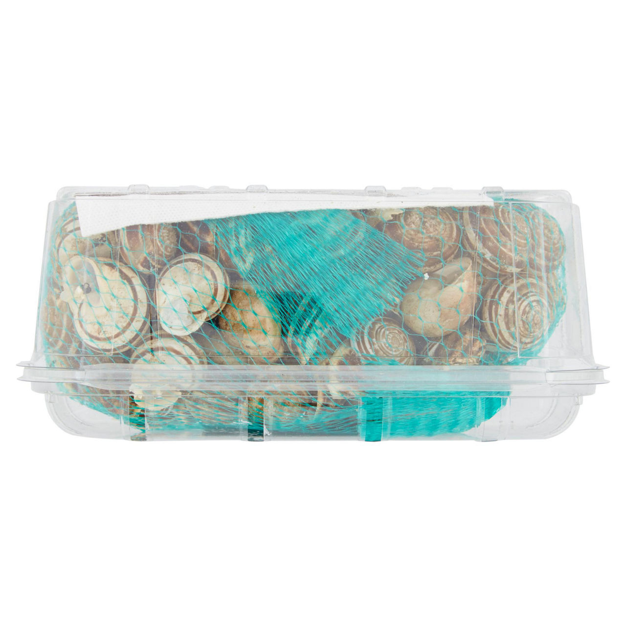 Lumache rigatelle 500 gr - Immagine 21