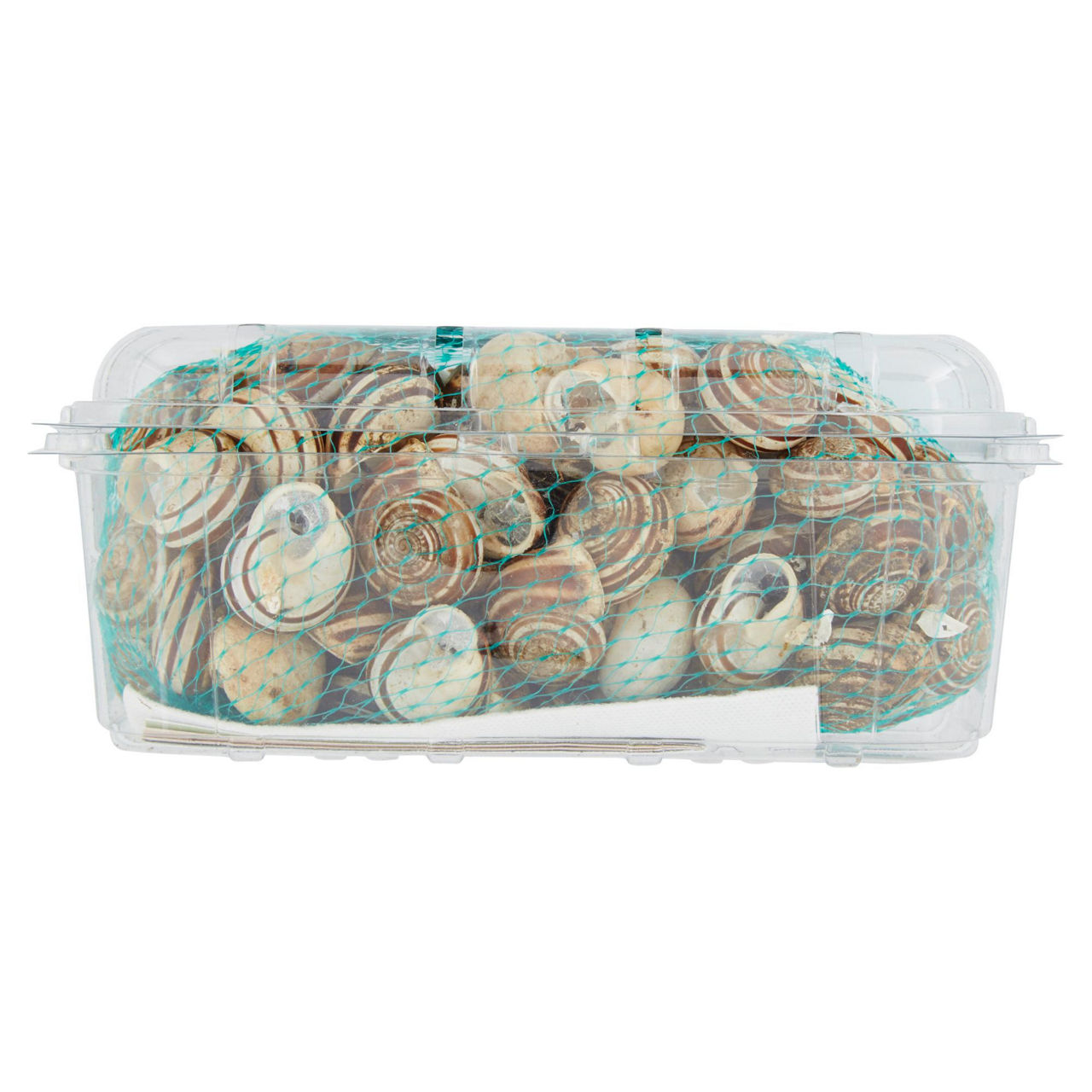 Lumache rigatelle 500 gr - Immagine 41