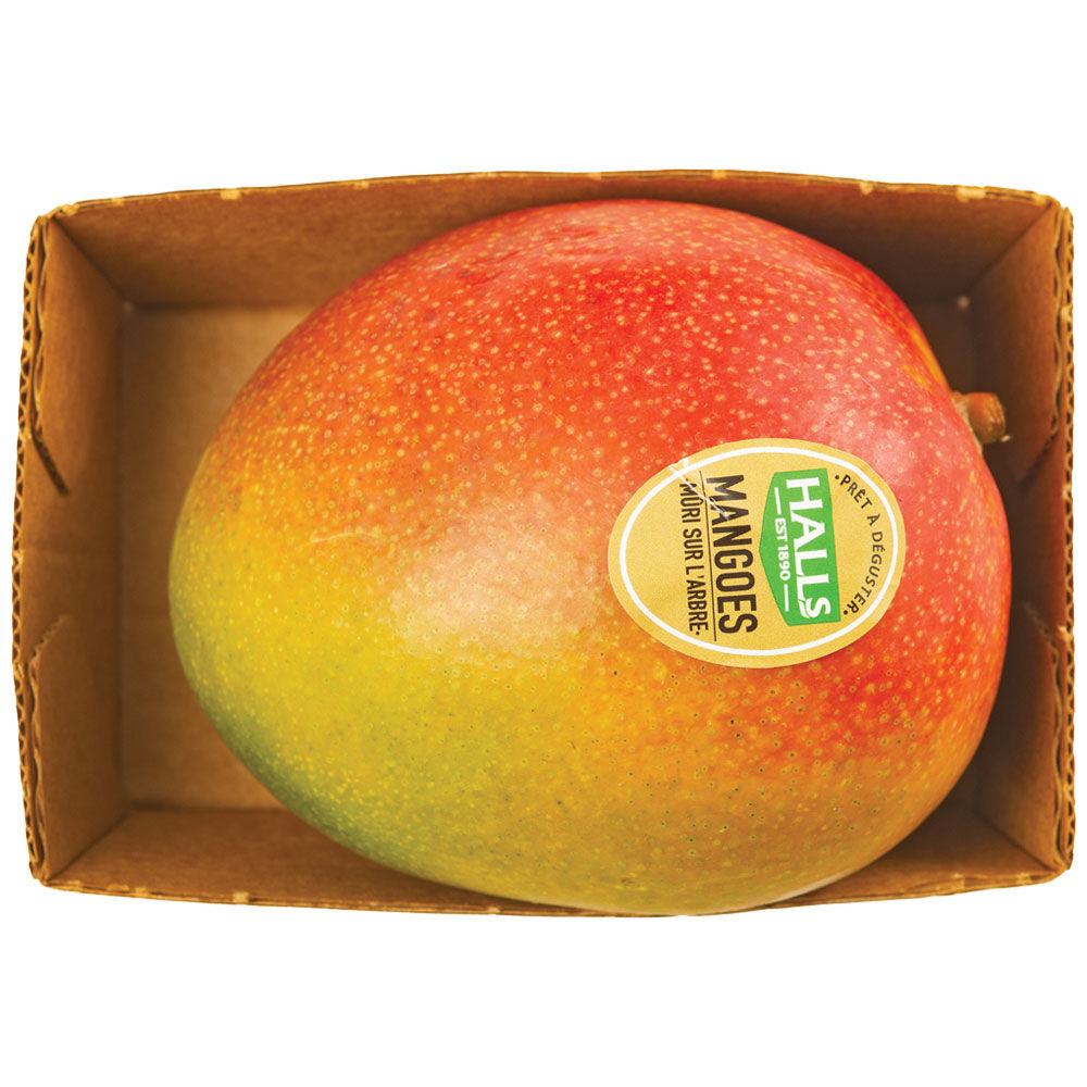 Mango 450 gr - Immagine 01