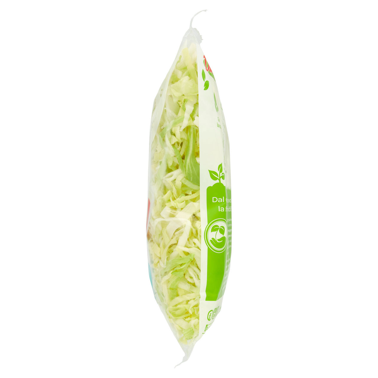 Lattuga iceberg alla julienne 500 gr - Immagine 31