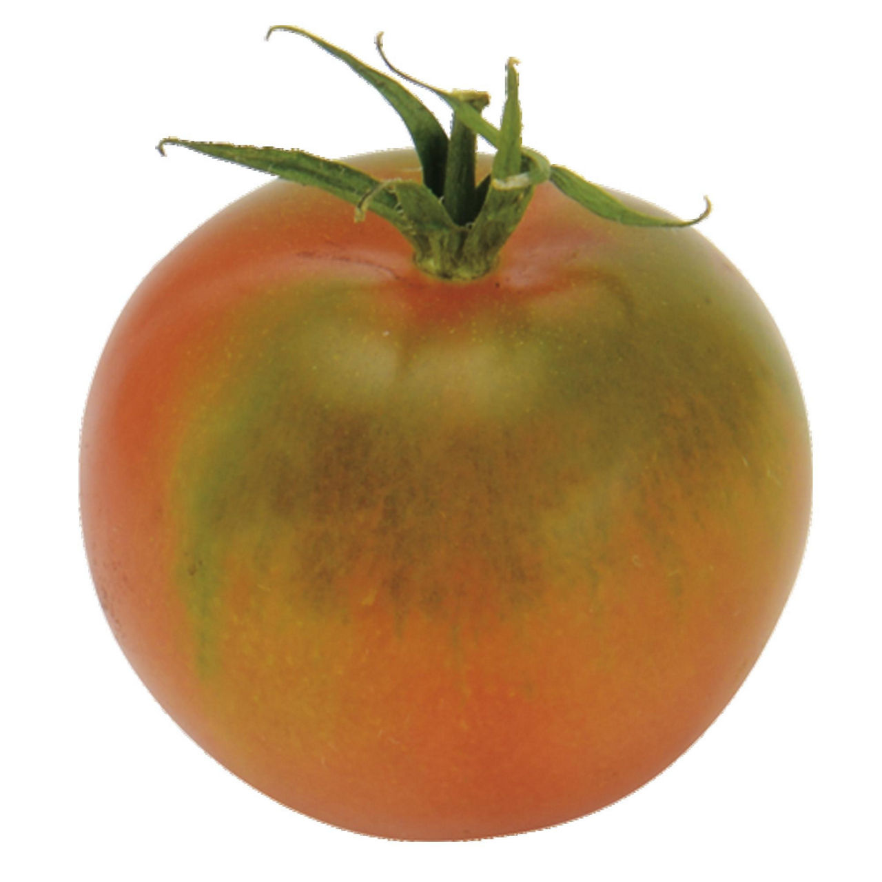 Pomodori Camone 300 gr - Immagine 01