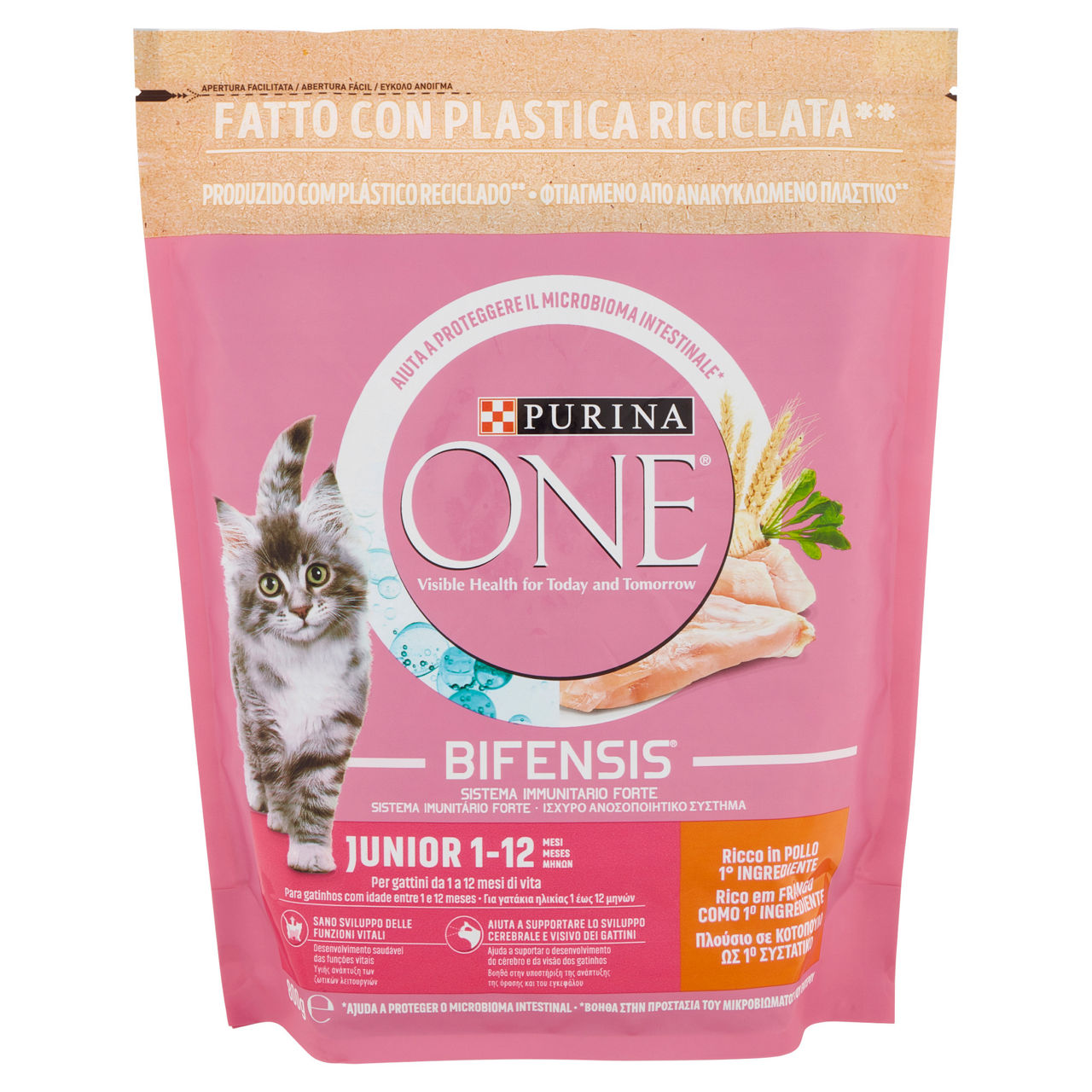 Secco gatto junior  one 800 gr - Immagine 01