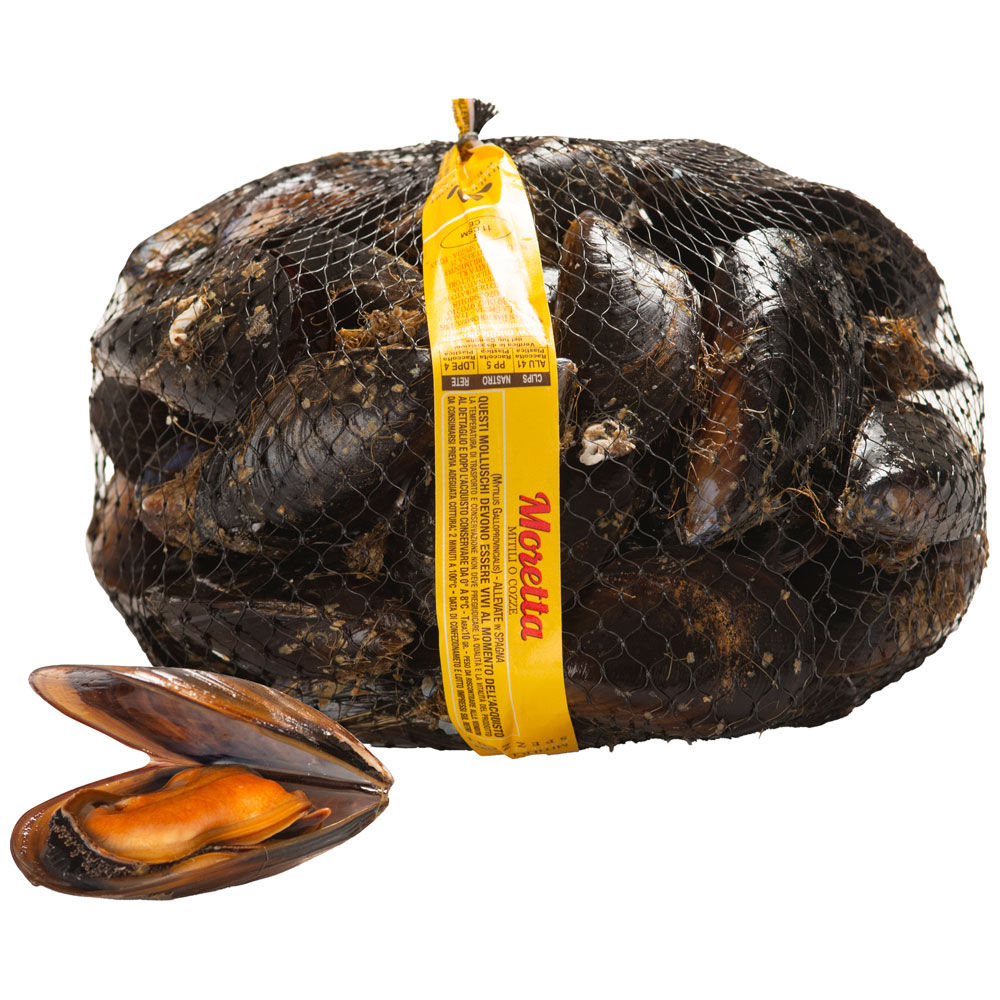Cozze moretta