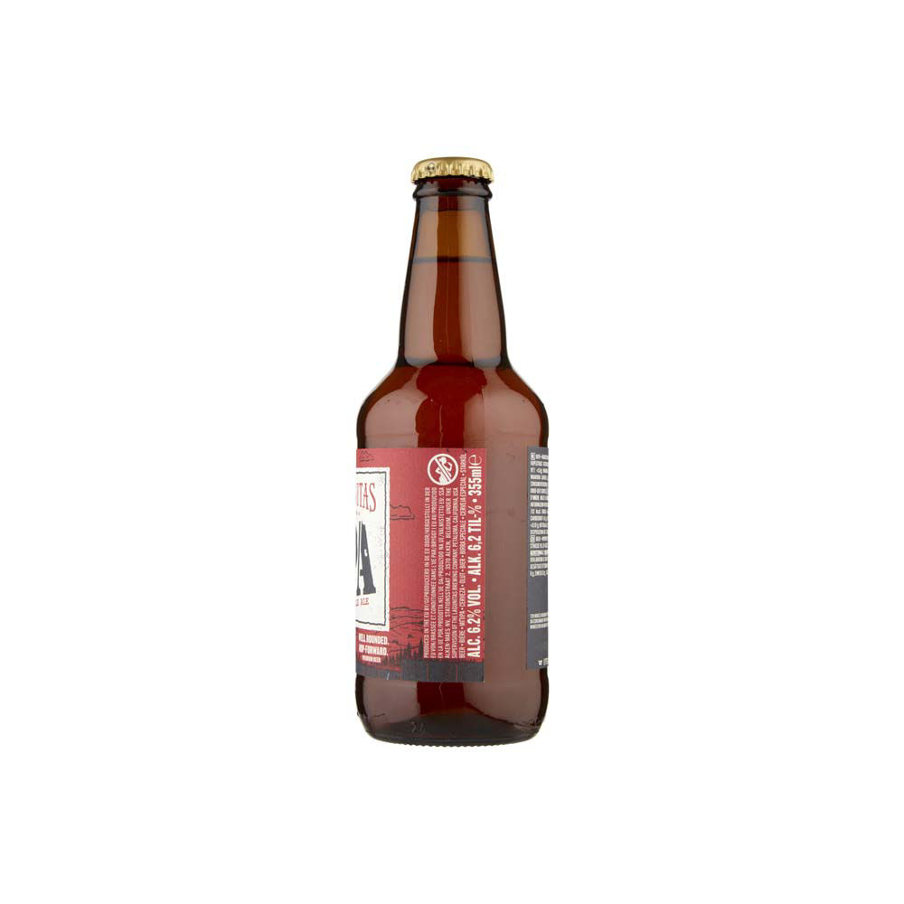 Birra Lagunitas IPA India Pale Ale 355 ml - Immagine 31