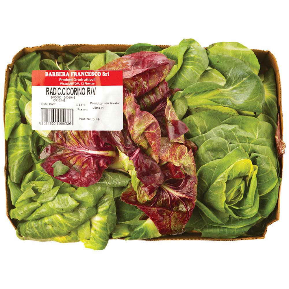 Radicchio cicorino verde e rosso 400 gr