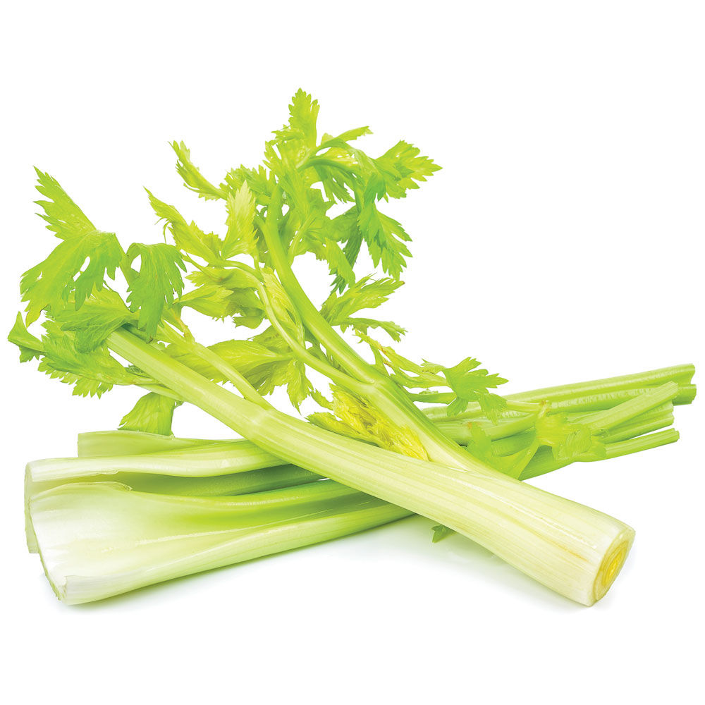 Sedano verde