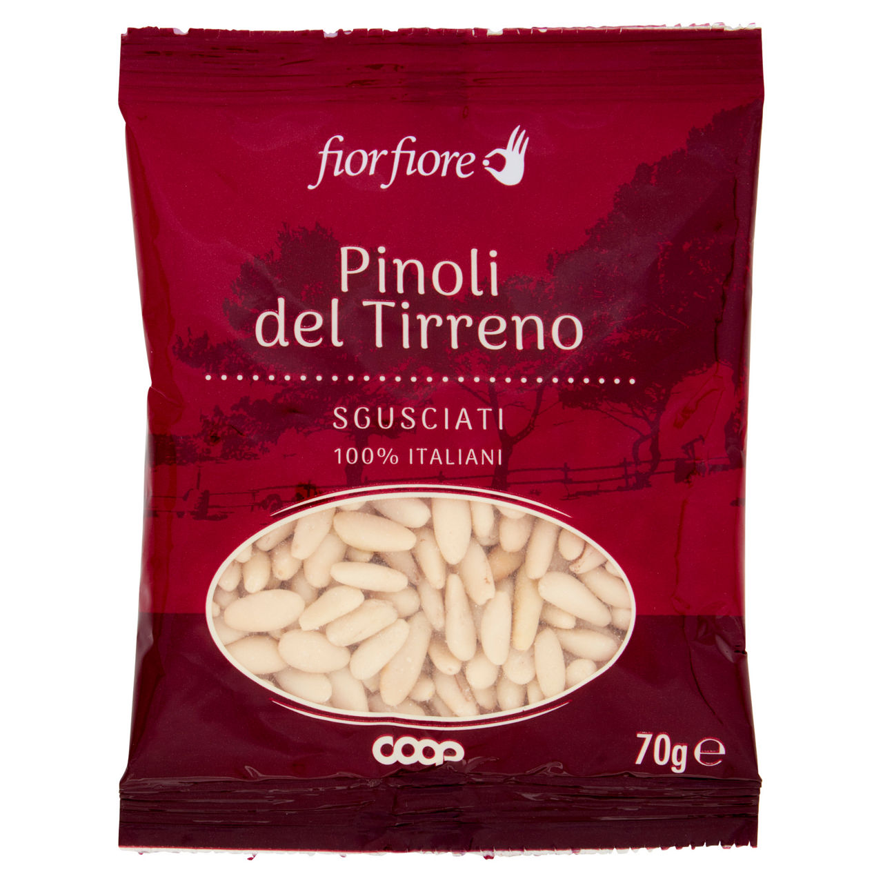Pinoli del Tirreno sgusciati 70 gr - Immagine 01