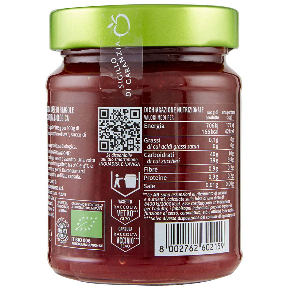 SoloFrutta fragole bio 295 gr - Immagine 21