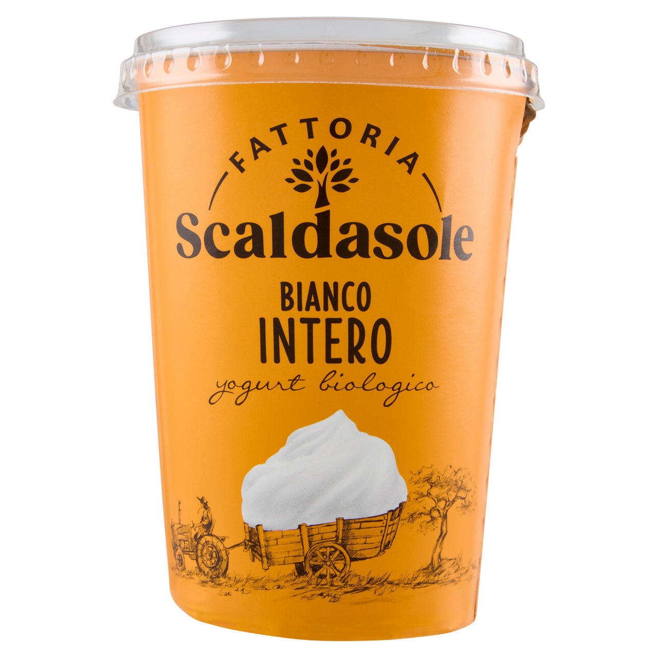 Yogurt bianco intero bio 500 gr - Immagine 01