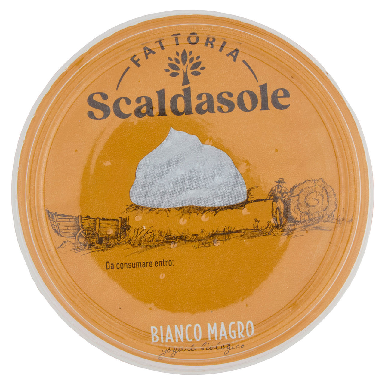 Yogurt magro bio bianco 500 gr - Immagine 41