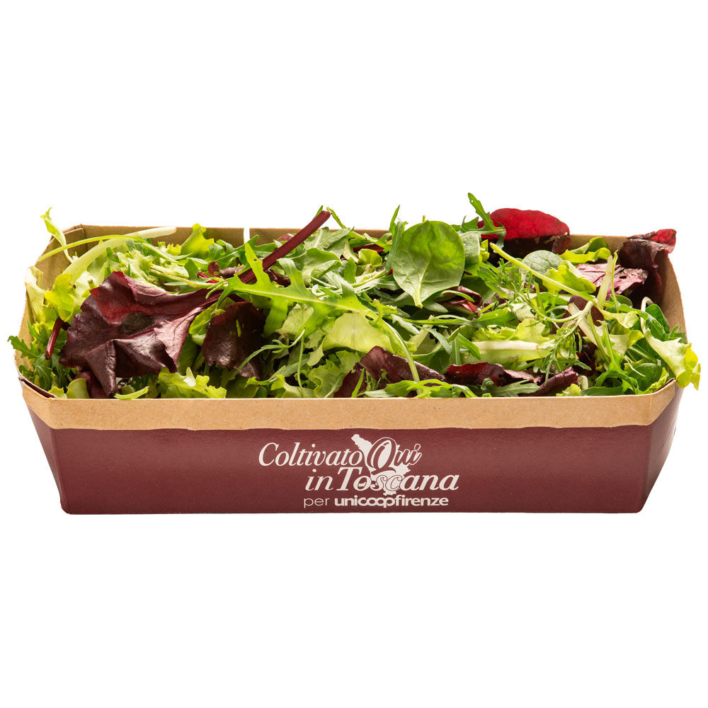 Misticanza Toscana 150 gr