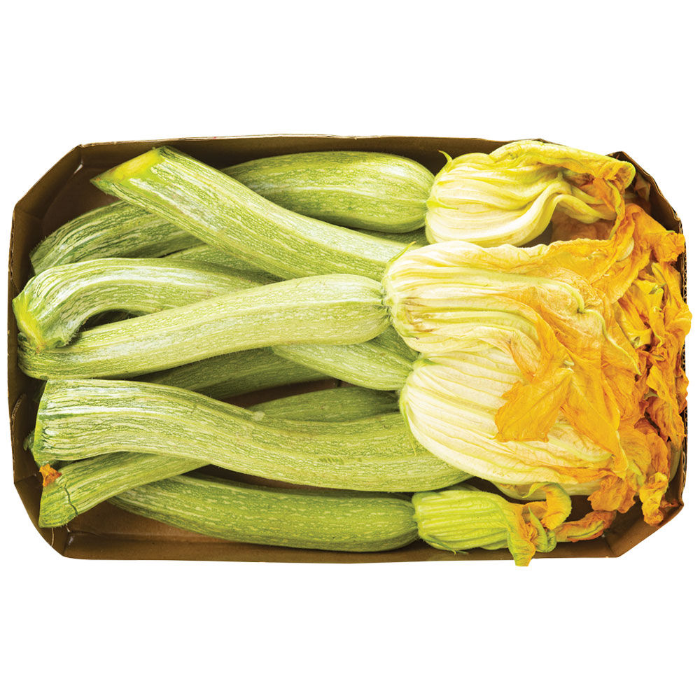 Zucchine chiare 900 gr