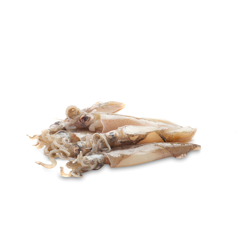 Calamari decongelati - Immagine 01