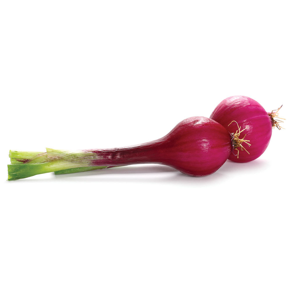 Cipolle rosse fresche 500 gr