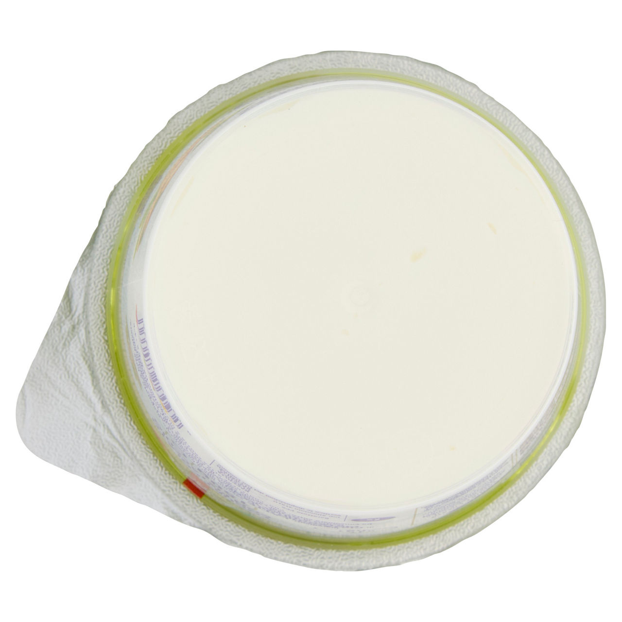Yogurt colato con pistacchio 150 gr - Immagine 21