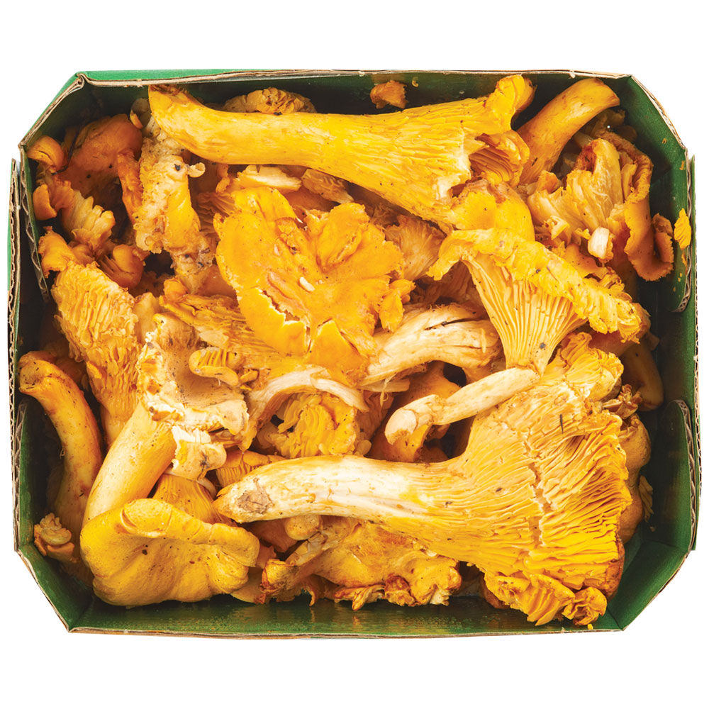 Funghi galletti 300 gr