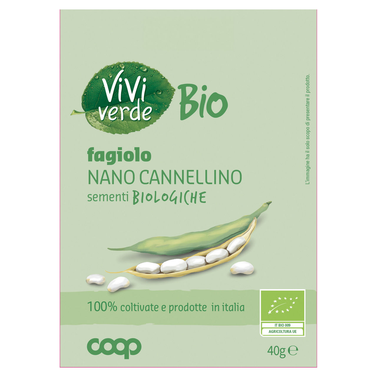 Sementi fagiolo nano cannellino bio 40 gr