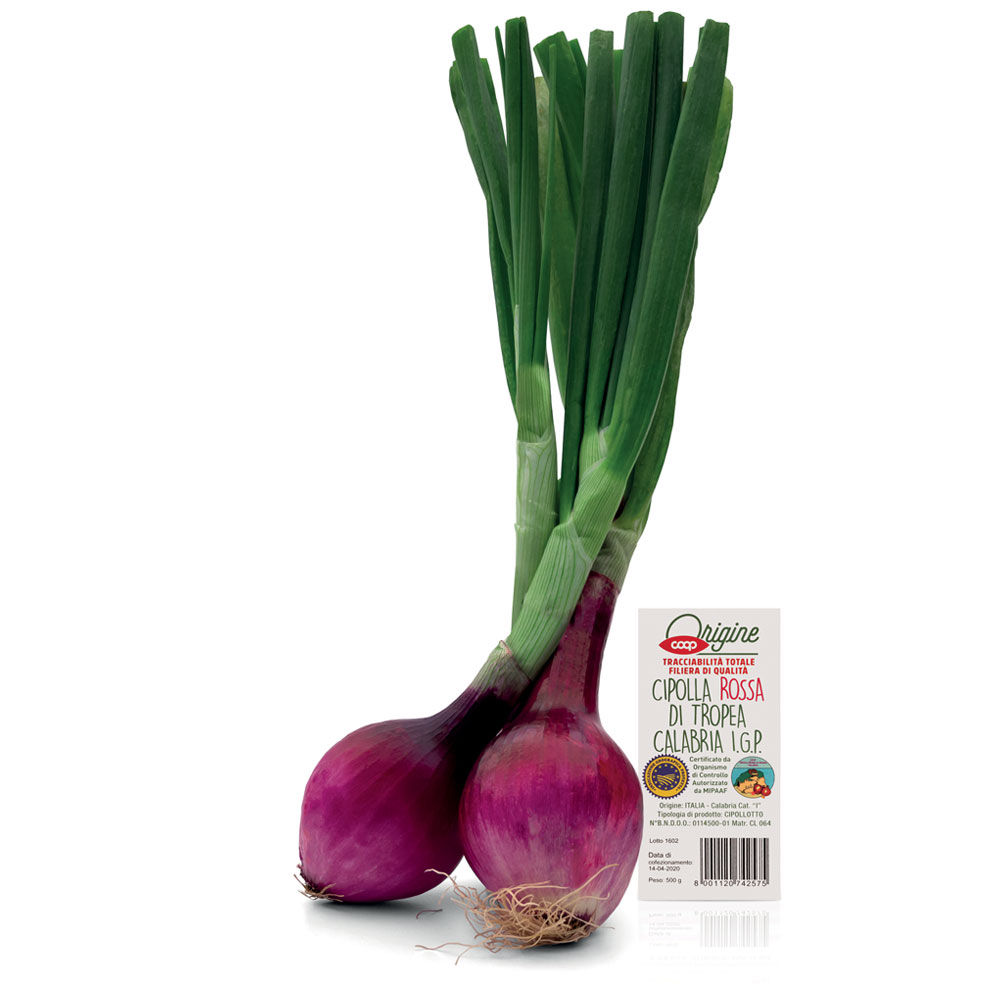 Cipolla rossa di Tropea Calabria IGP 500 gr