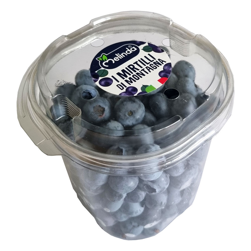 Mirtilli 500 gr