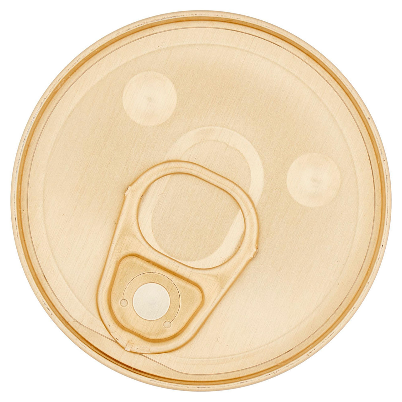 Umido per gatti sfilaccetti tacchino con carote 80 gr - Immagine 31