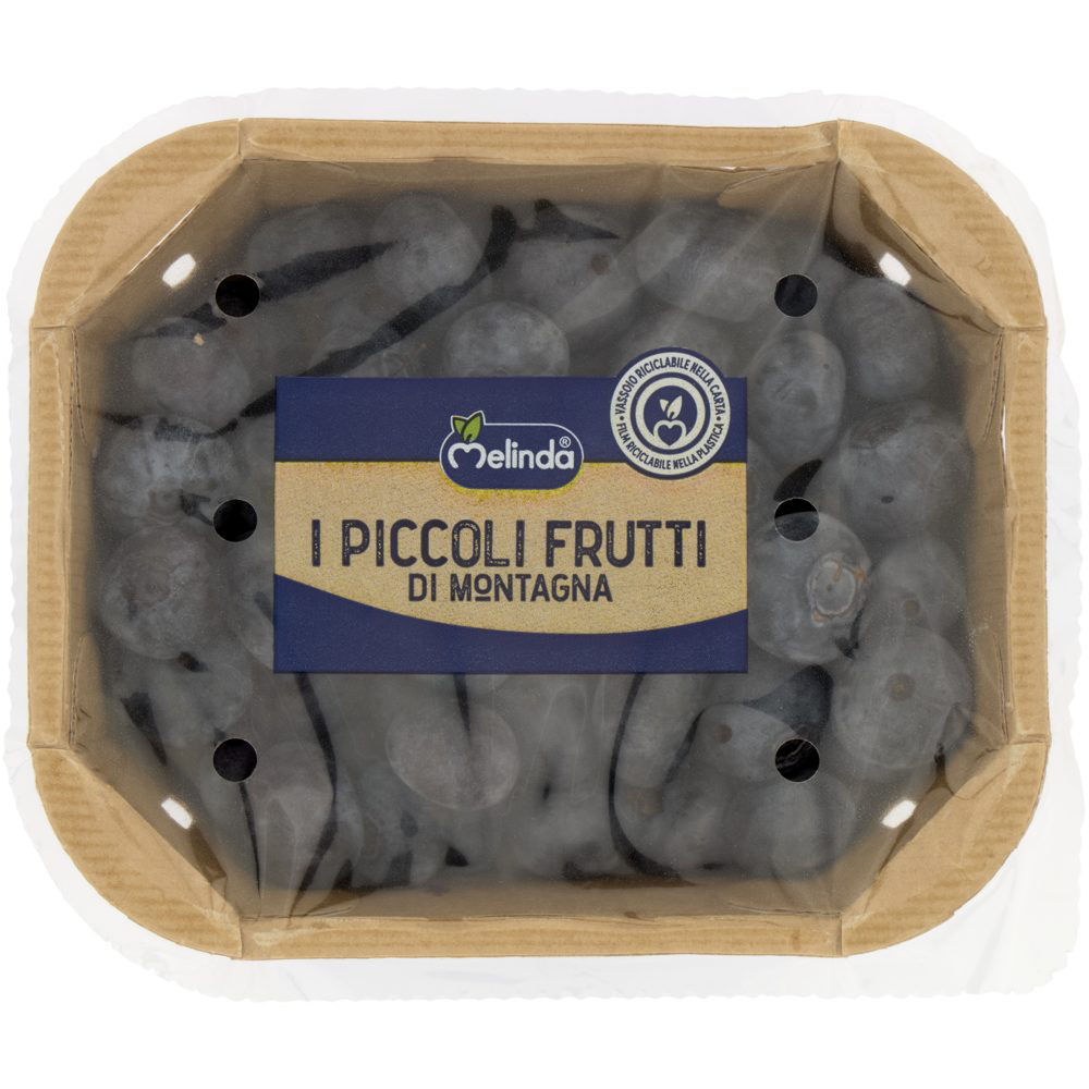 Mirtilli confezione 200 gr
