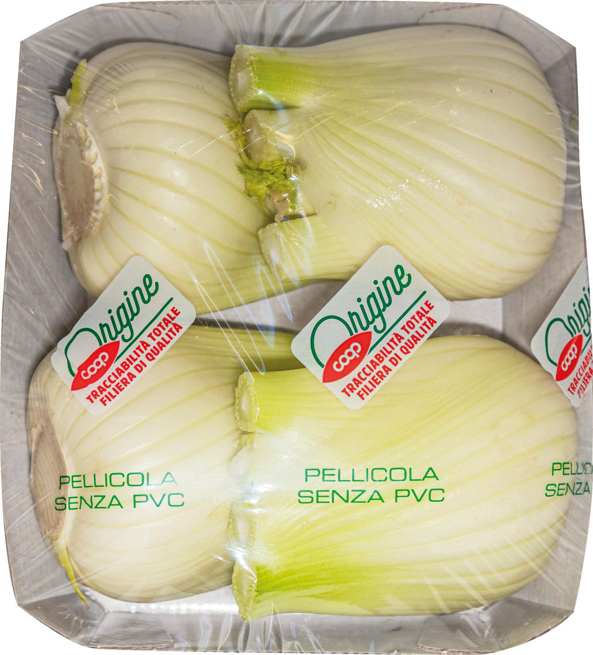 Finocchi 4 pz - Immagine 01