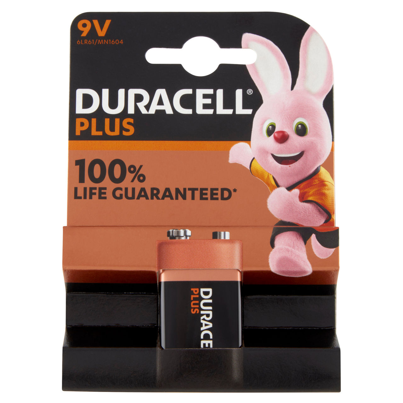 Plus 100 9v transistor 1 pila - Immagine 01