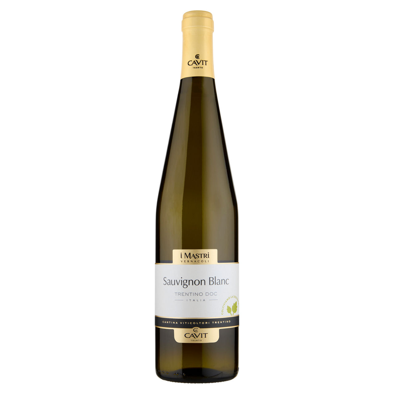 Vino bianco Sauvignon Blanc Trentino DOC Mastri Vernacoli 750 ml