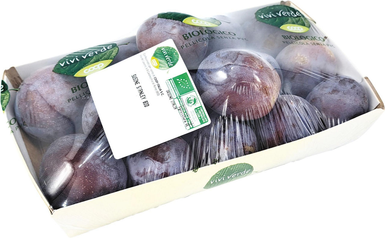 Susine Stanley bio 1 kg