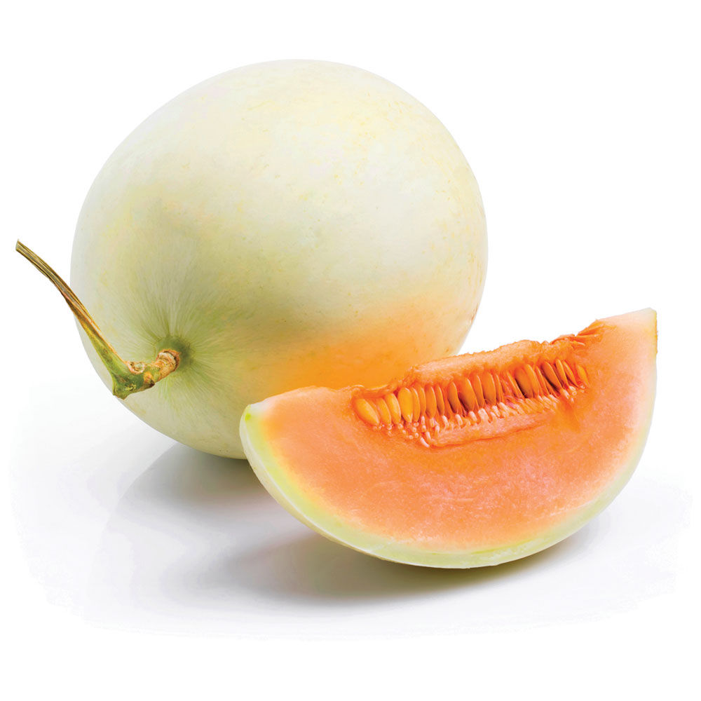 Melone liscio 1200 gr - Immagine 01