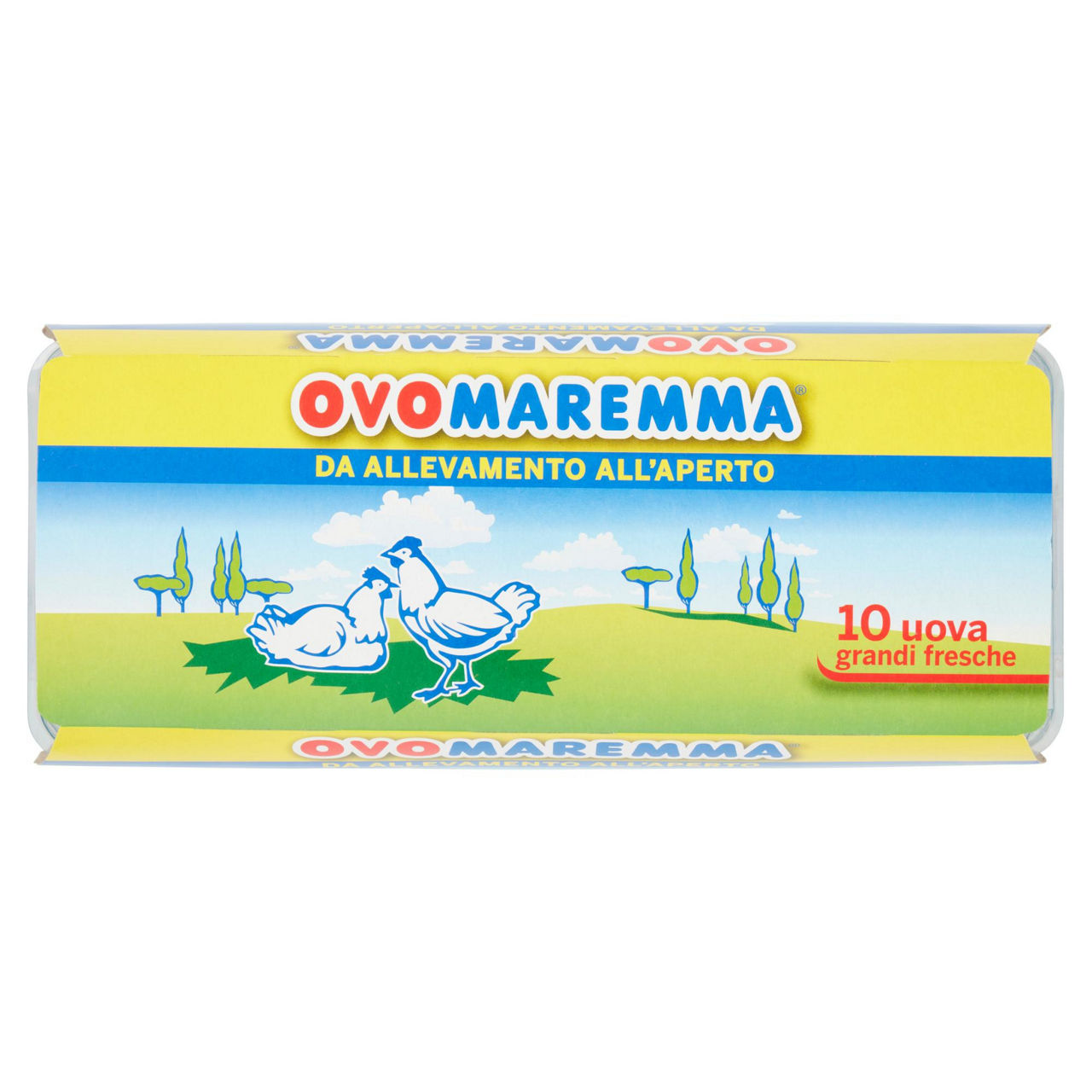 Uova grandi fresche da allevamento all'aperto 10 pz - Immagine 01