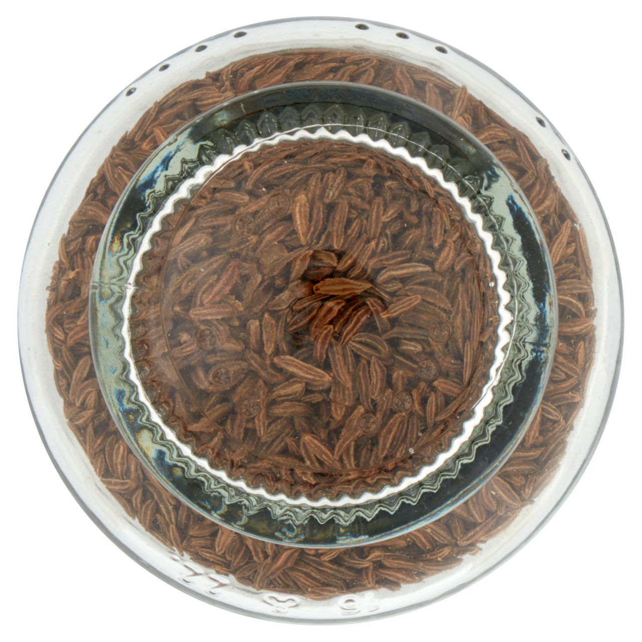 Comino kummel carvi in vasetto 35 gr - Immagine 51