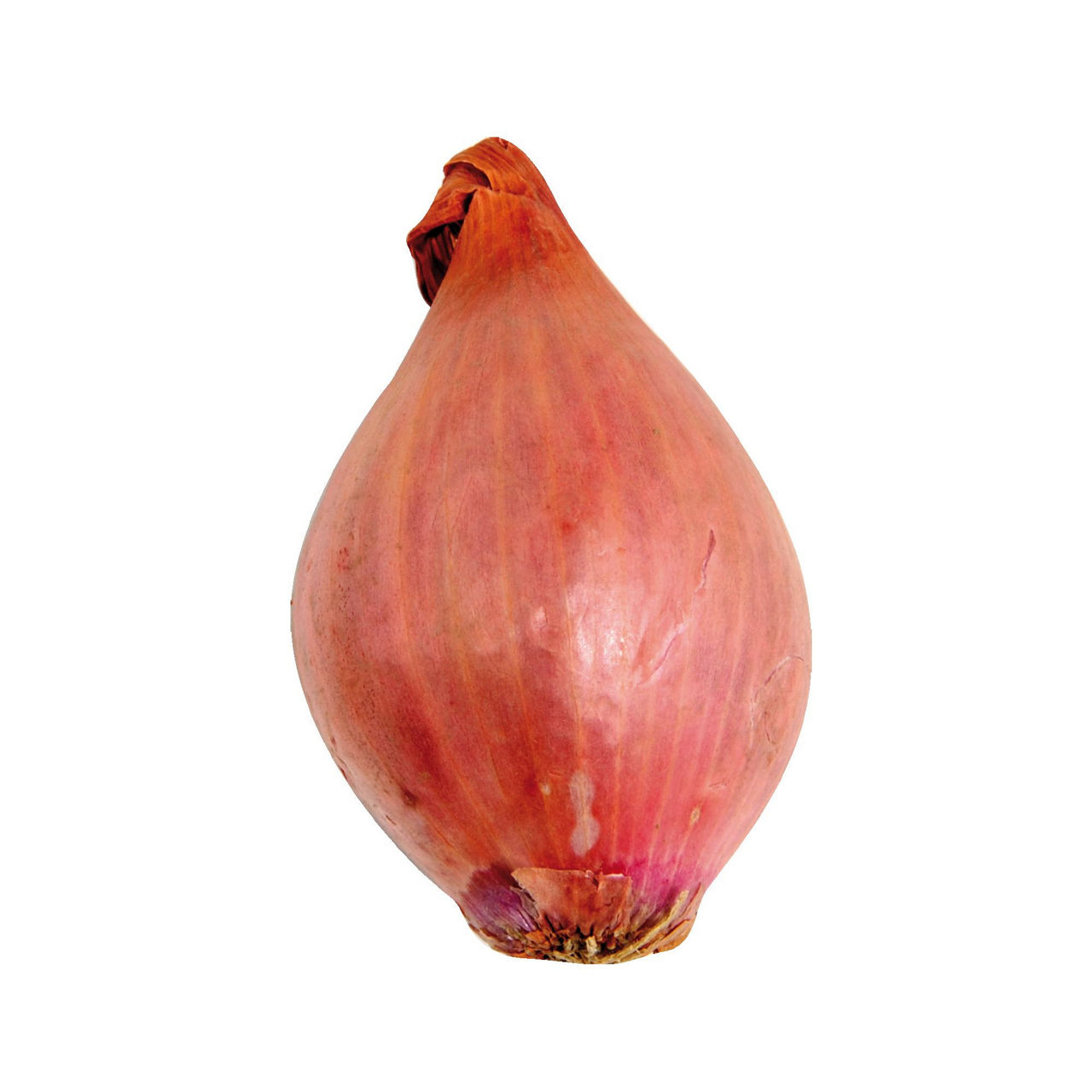 Scalogno 500 gr
