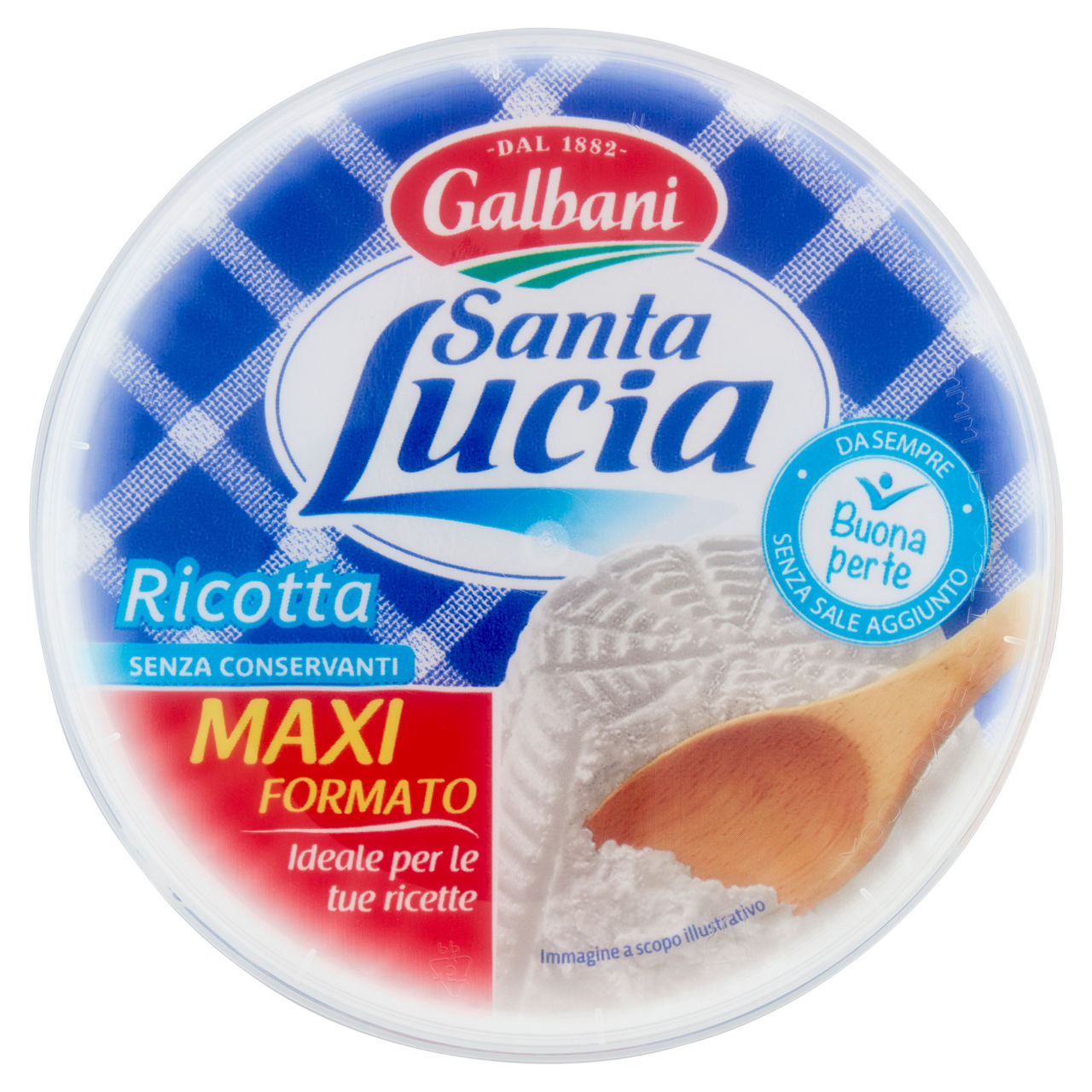 Ricotta maxi formato 450 gr - Immagine 01