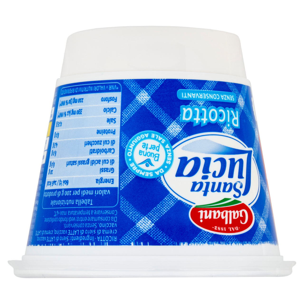 Ricotta maxi formato 450 gr - Immagine 101