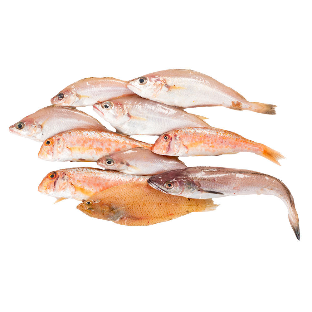 Frittura di paranza dell'arcipelago Toscano - Immagine 01