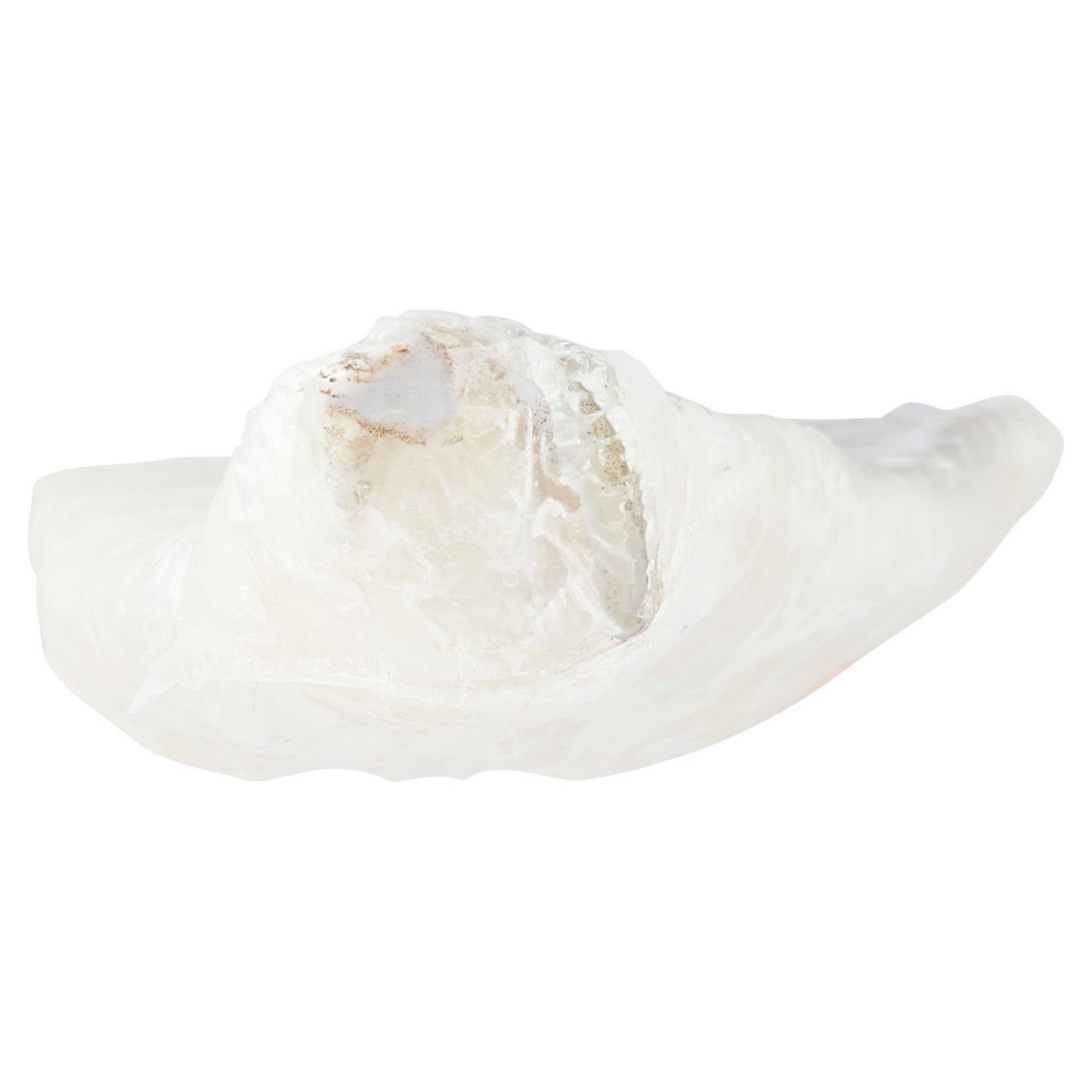 Filetto di merluzzo Nordico salato e surgelato - Immagine 11