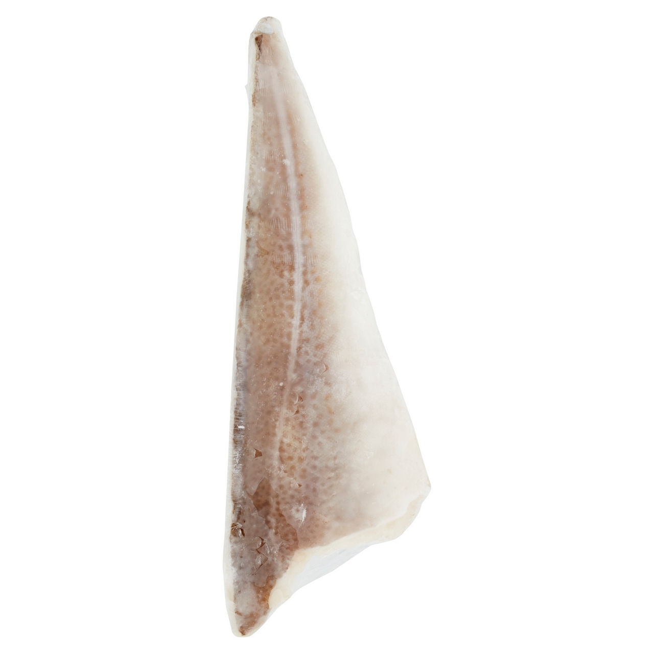 Filetto di merluzzo Nordico salato e surgelato - Immagine 31