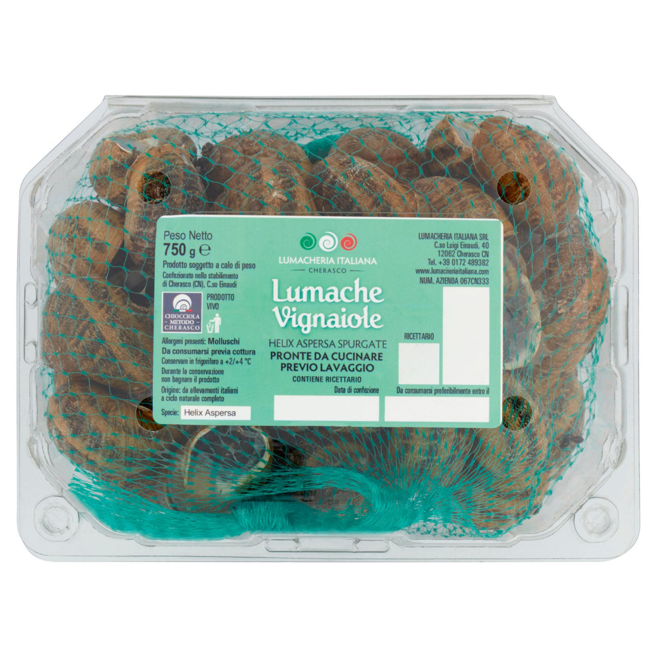 Lumache vignaiole vive 750 gr