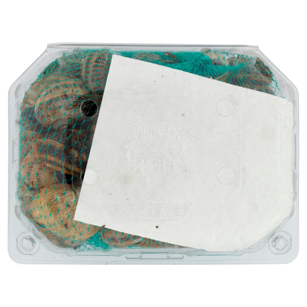 Lumache vignaiole vive 750 gr - Immagine 51