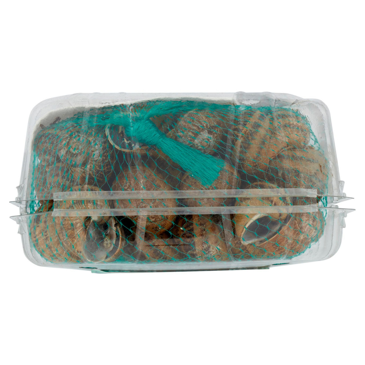 Lumache vignaiole vive 750 gr - Immagine 11