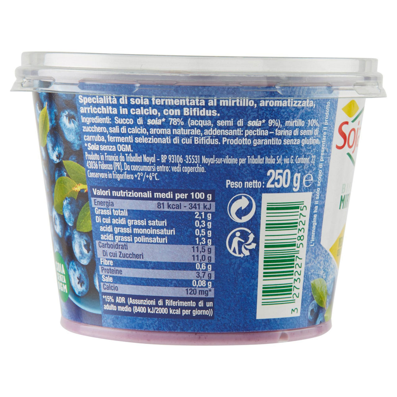 Yogurt vegetale al mirtillo 250 gr - Immagine 11