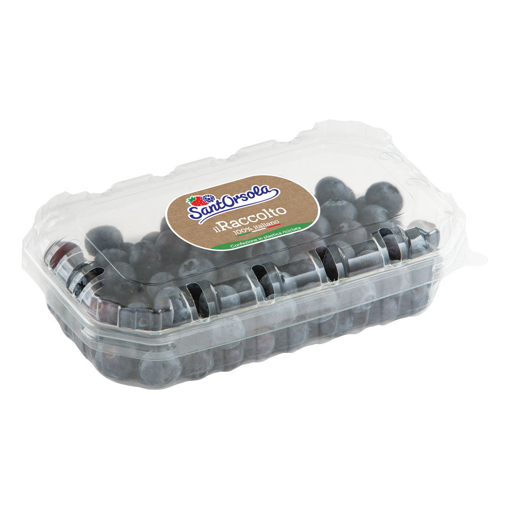 Mirtilli 250 gr