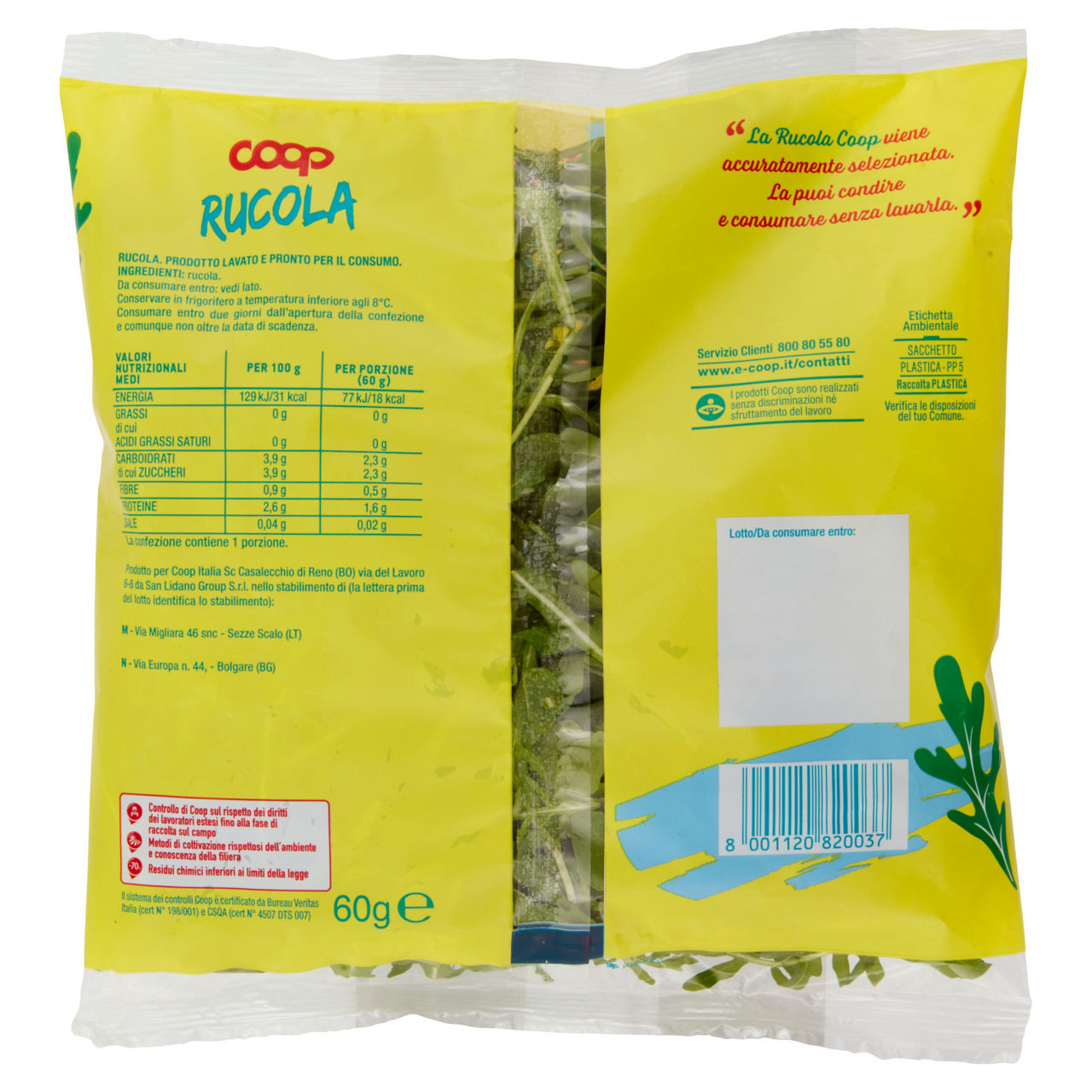 Rucola 60 gr - Immagine 161