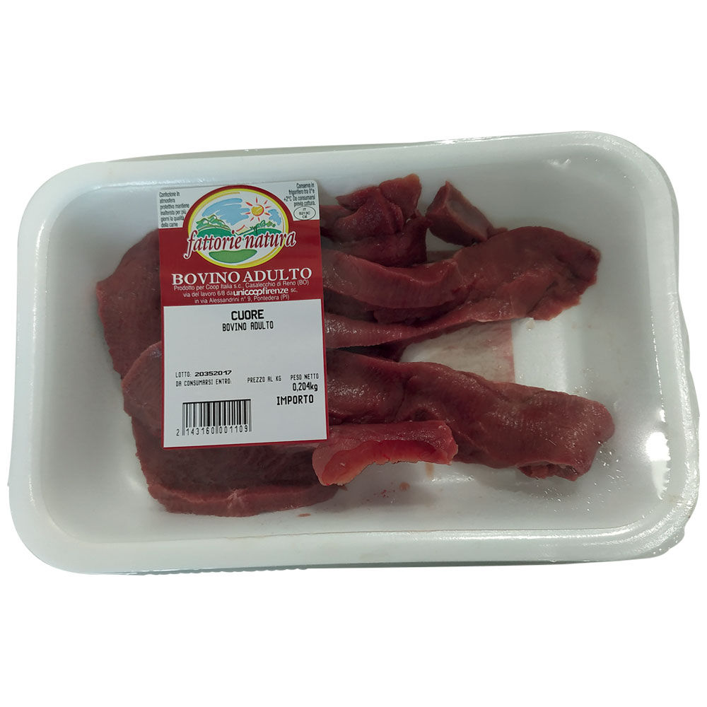 Cuore di bovino adulto