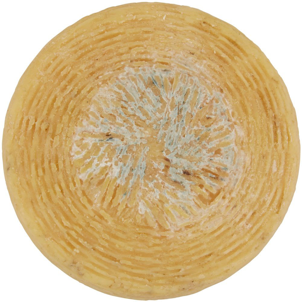 Formaggio pecorino di Farindola semistagionato a fette - Immagine 21