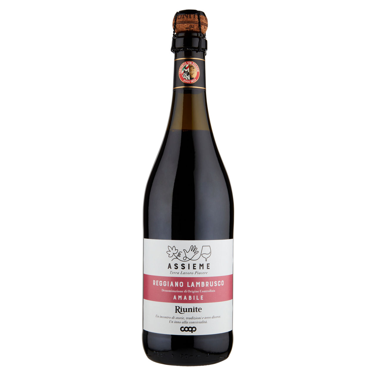 Vino rosso Reggiano Lambrusco DOC amabile 750 ml - Immagine 01