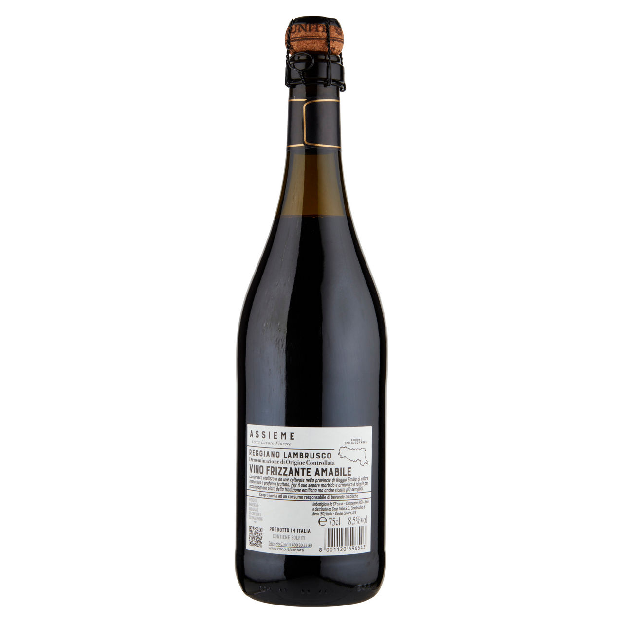 Vino rosso Reggiano Lambrusco DOC amabile 750 ml - Immagine 11