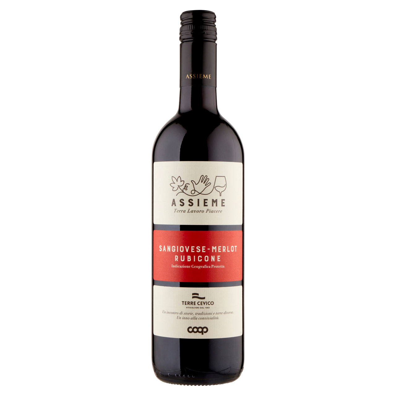 Vino rosso Sangiovese-Merlot Rubicone IGP 750 ml - Immagine 01